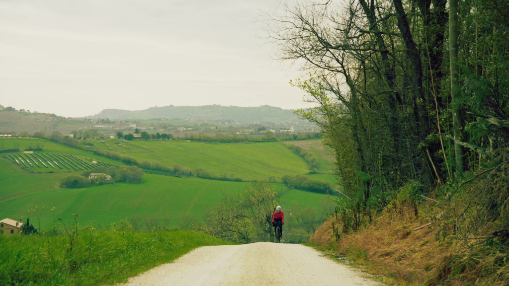 frescostudio-pedalarmarche-02